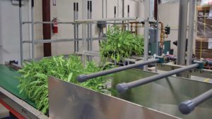 Automation Helps The Growers Exchange Keep Up With Rising Demand