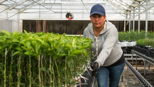 Ag Producers Looking for Best Ways To Cope With Ongoing Labor Issues