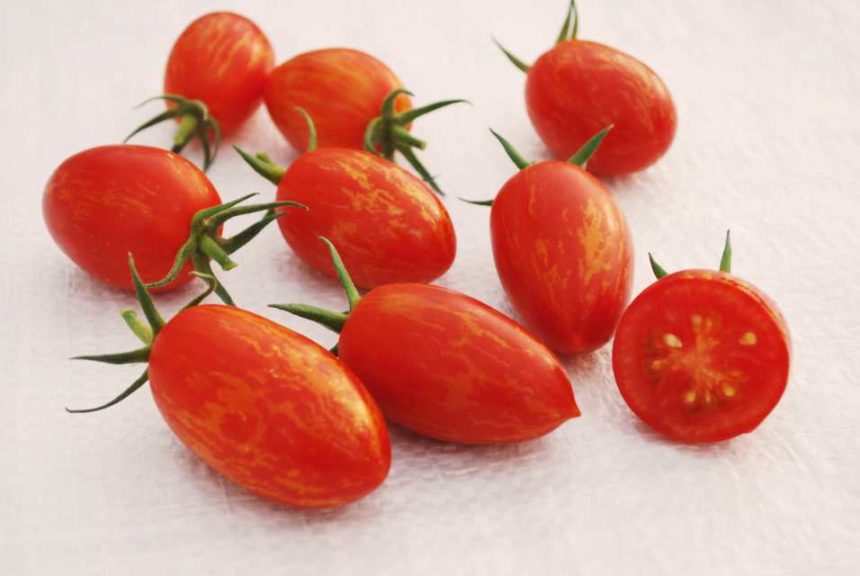 Tomato ‘Red Torch’ (A.P. Whaley Seed)
