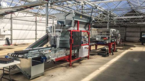 How to Set up an Efficient Greenhouse