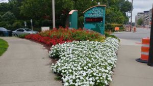 2018 Midwest Floriculture Field Trials Results: Cincinnati Zoo and Botanical Garden
