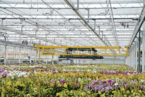 3D Cranes (Logiqs/HOVE)