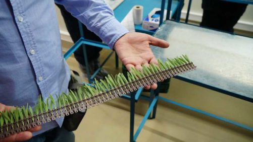 Darwin Perennials To Begin Shipping AutoStix From Darwin Colombia