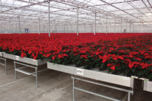 Container Systems (KG Systems)