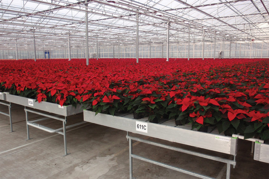 Container Systems (KG Systems)