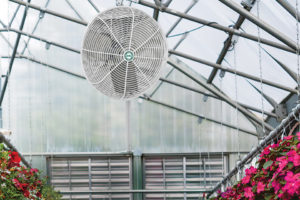 Green Breeze HAF Fan (J&D Manufacturing)