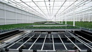 Three Horticulture Suppliers Sound Off on Supply Chain Concerns