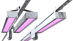 How to Set Up Your Own Greenhouse Lighting Trial