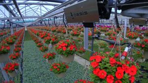 Self-Sufficient Watering Systems