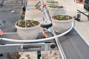 Portable Modular Conveyor (Rapid-Veyor)