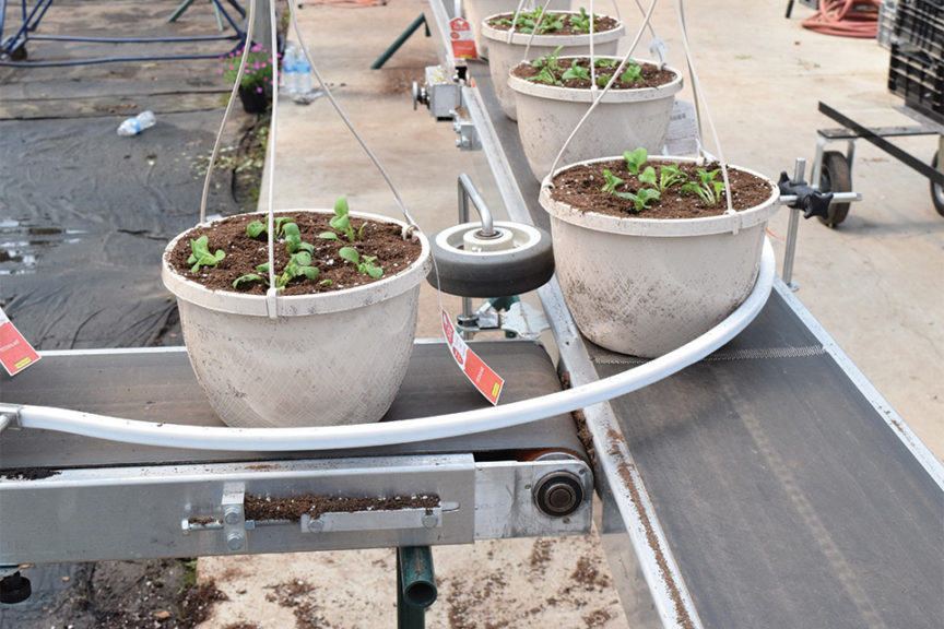 Portable Modular Conveyor (Rapid-Veyor)