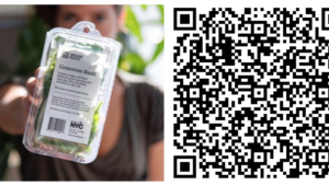 New York Vertical Farm Aims to Instill Consumer Trust with Transparency