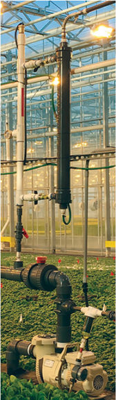 Toob Oxygen Infuser (BioTherm Solutions)