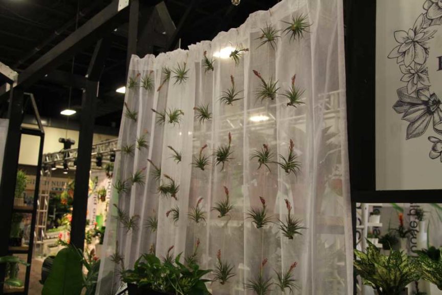 Air Plant Curtain in Costa Farms Booth