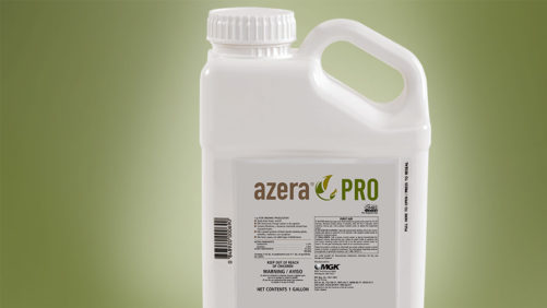 New Tools Available for Managing Insects, Soil Health in Greenhouses