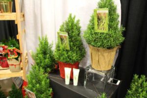 Coastal Nursery Scents With Lotion