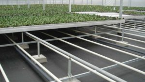 Investment in Floors Leads to Water Savings at Westerlay Orchids