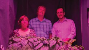 How GLASE is Blazing a New Frontier in Lighting