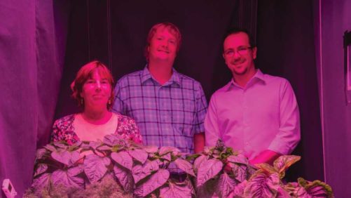 How GLASE is Blazing a New Frontier in Lighting