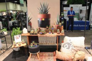 Global Infinity Collection from Live Trends