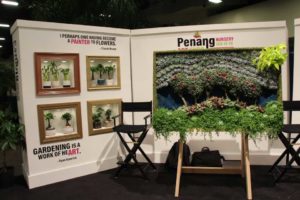 Penang Nursery Plant Gallery