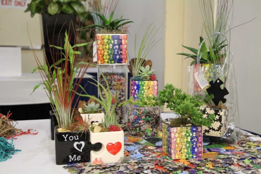 Puzzle Planters From Eve's Garden