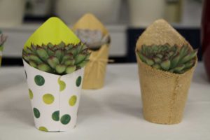 Quicups From Temkin PPC