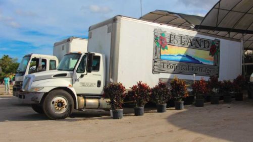 Real-World Solutions for Addressing Transportation Issues in 2023