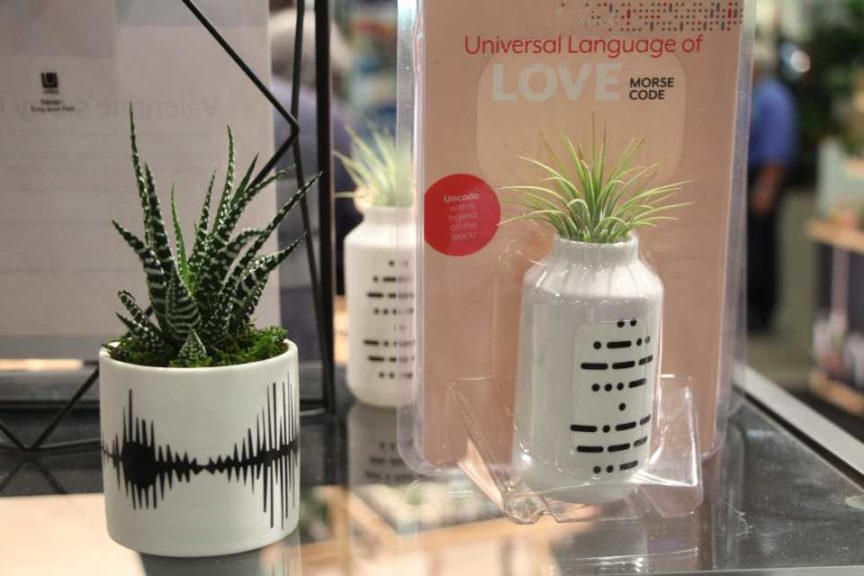 Valentine's Day Message Pots From Live Trends