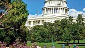 Why Congress is Looking at Expanding Cannabis Reform