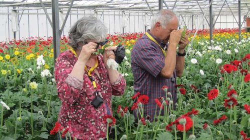 Learning Opportunity: Online Greenhouse Scouting School This Winter