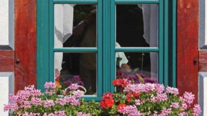 Why the Prospects for Container Gardening in 2023 Are a Mixed Bag