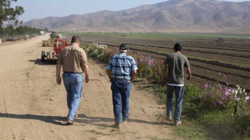 Cool Planet Helps Wilmot Botanical Gardens Save a National Treasure