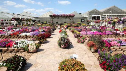 How Grower-Retailers Can Promote the Value of Gardening to Their Community