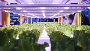 GreenTech 2019 to Focus on Artificial Intelligence and Automation in the Greenhouse