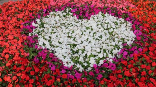 Voice Your Thoughts on California Spring Trials Moving to Summer