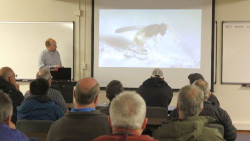 Where to Get Geared up for Greenhouse Growing in 2020