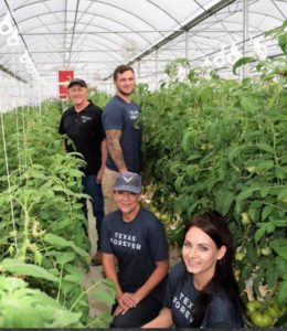 What You Need to Know About Organic Vegetable Production