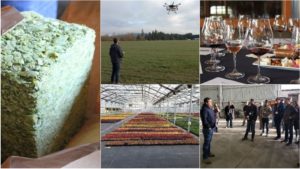 Learn More About Pest Management in Cannabis During the 2022 Biocontrols Conference