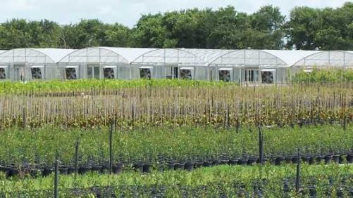 TreeTown USA Acquires Automation Company