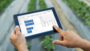 Microsoft Dynamics NAV/Agriware (Velosio)