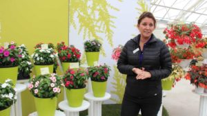 The Faces of California Spring Trials 2019