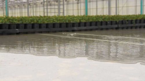 Environmental Sustainability:  How Growers Tell Their Stories