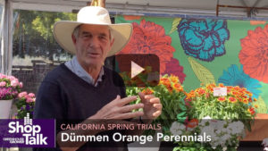 Allan Armitage Reviews Dümmen Orange Perennials From CA Spring Trials 2019