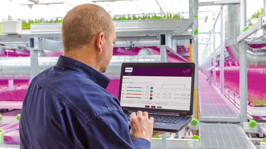 How to Improve the Vigor of Cuttings With Smart Lighting Solutions