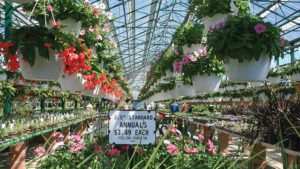 Greenhouse Wage, Price, and Production Trends in 2025