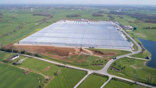 ColorPoint to Transition to Full Hemp Production in Merger With AgTech Scientific