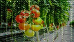 How Artificial Intelligence Can Provide Tools for Automated Growing
