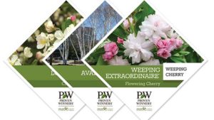 Proven Winners ColorChoice Now Offering Ornamental Trees
