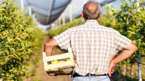 The Key Steps to Creating a Successful Business Succession Plan